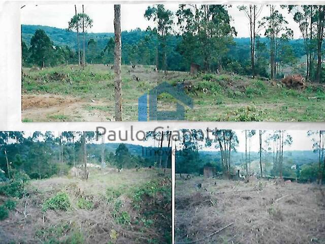 Terreno para Venda em Embu das Artes - 5