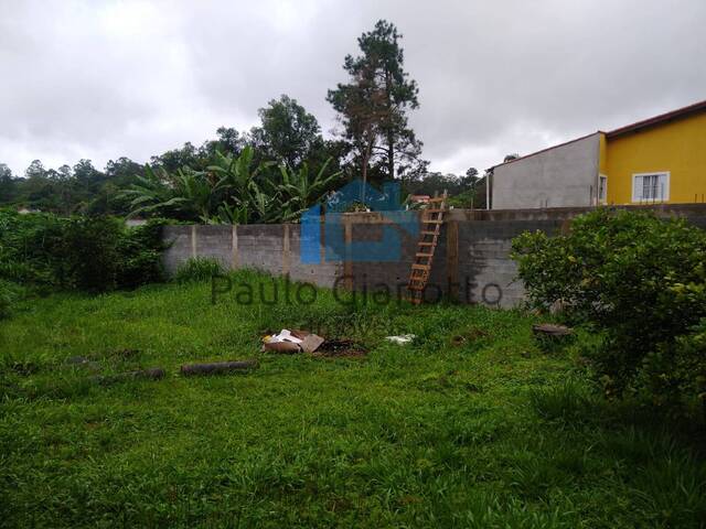 #283 - Terreno para Venda em Cotia - SP - 3