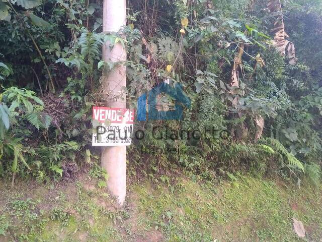 #619 - Terreno para Venda em Cotia - SP - 2