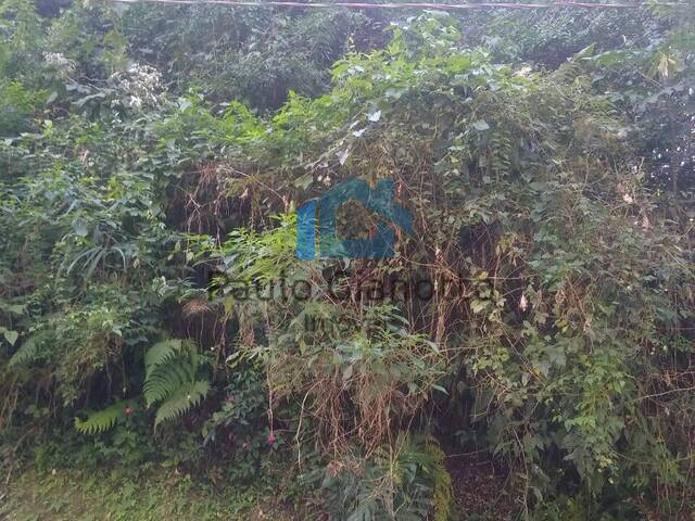 Terreno para Venda em Cotia - 4