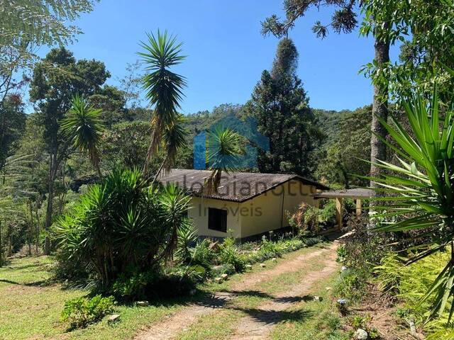 #1180 - Sítio para Venda em Cotia - SP - 3