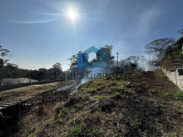 #1197 - Terreno para Venda em Cotia - SP - 3