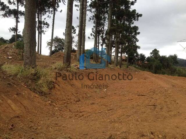 Área para Venda em Cotia - 4
