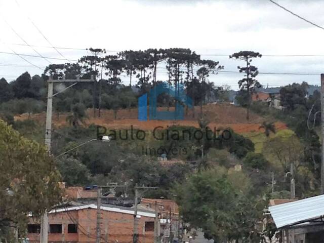 Área para Venda em Cotia - 5