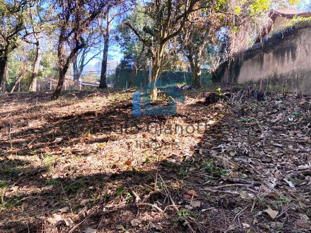 Terreno, 2334 m² - Foto 6