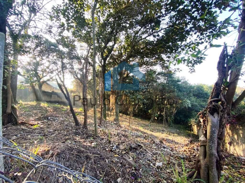 Terreno, 2334 m² - Foto 8