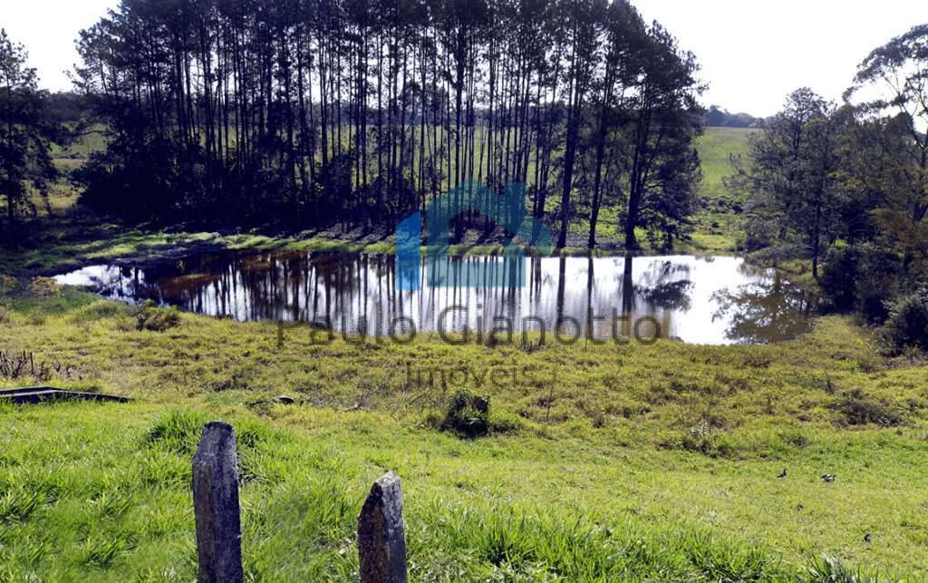 Terreno, 200 m² - Foto 19