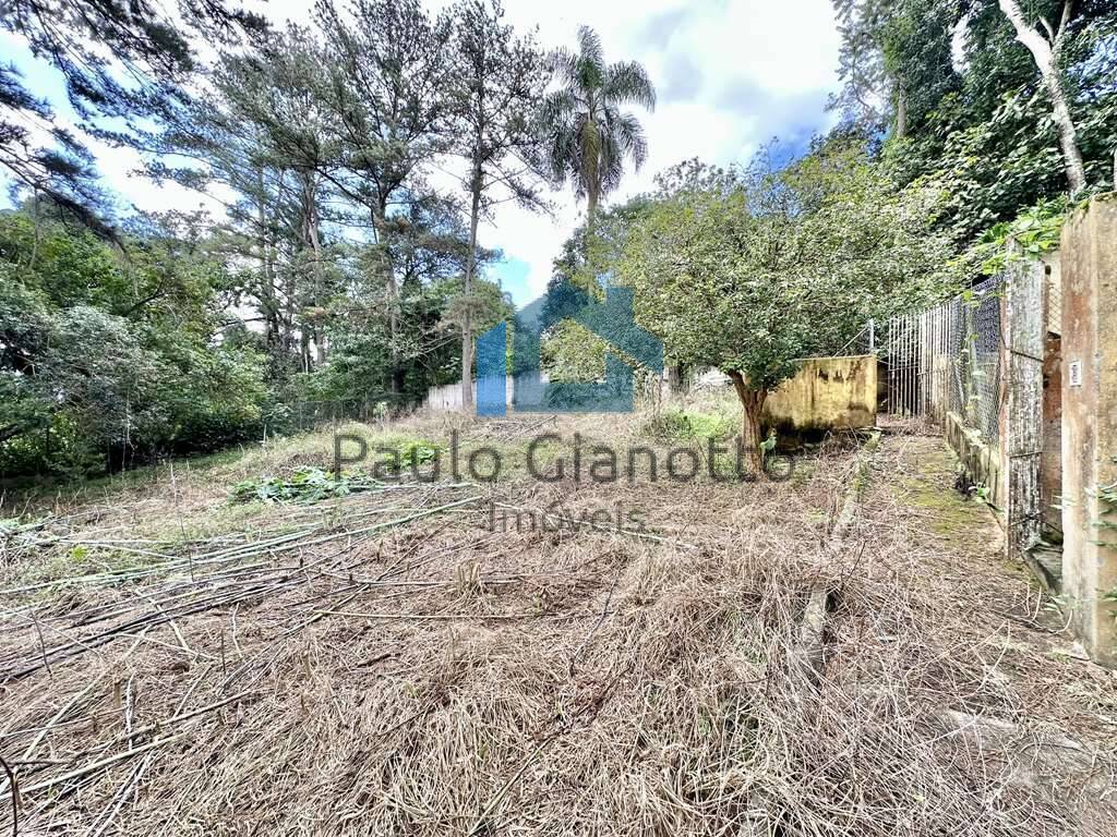 Casa à venda com 3 quartos, 233m² - Foto 56