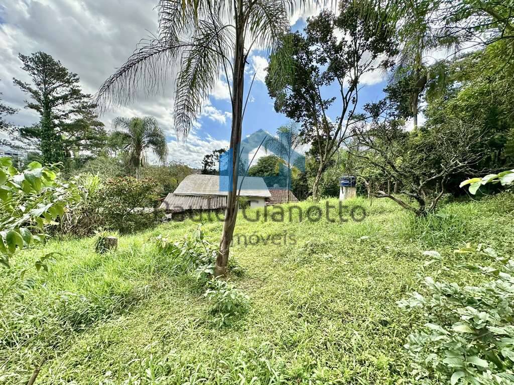 Casa à venda com 3 quartos, 233m² - Foto 58