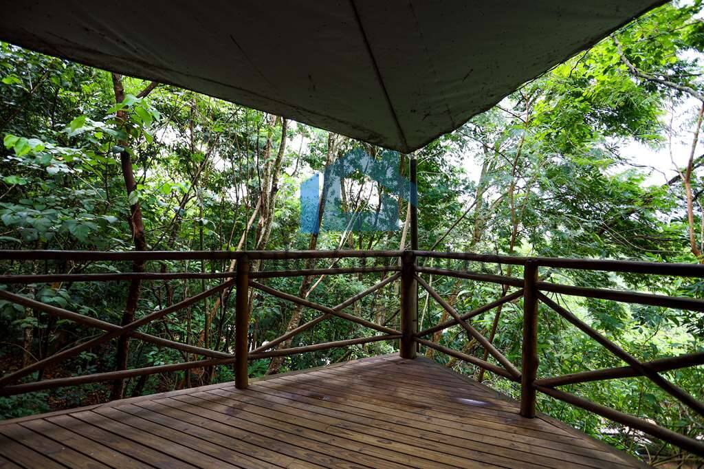 Casa, 5 quartos, 551 m² - Foto 22