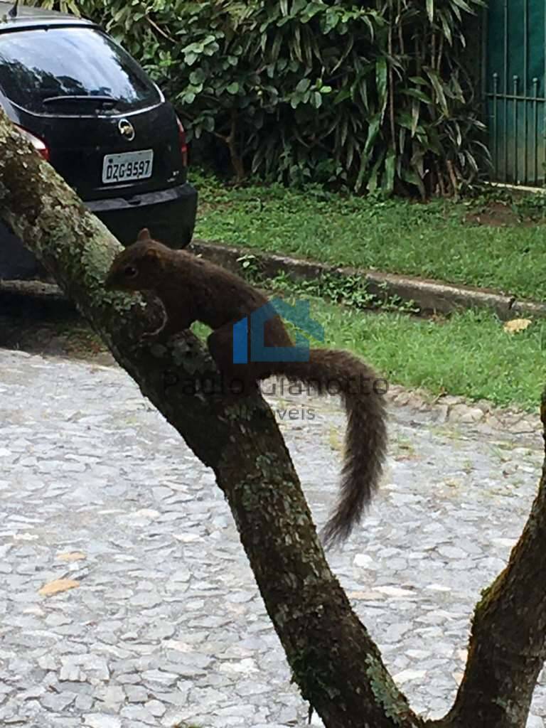 Casa de Condomínio, 2 quartos - Foto 63